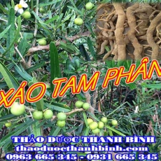 Địa điểm cung cấp xáo tam phân tại Bắc Ninh uy tín chất lượng