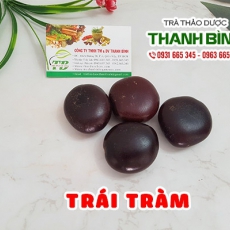 Trài tràm [Hình ảnh, công dụng, cách dùng] Mua ở đâu chất lượng tốt nhất?