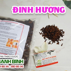 Đinh hương [Hình ảnh, công dụng, cách dùng] Mua ở đâu chất lượng tốt nhất?