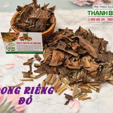 Dong riềng đỏ [Hình ảnh, công dụng, cách dùng] Mua ở đâu chất lượng tốt nhất?