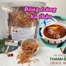 Đông trùng hạ thảo [Hình ảnh, công dụng, cách dùng] Mua ở đâu chất lượng tốt nhất?
