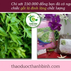 Gối lá đinh lăng [Hình ảnh, công dụng, cách dùng] Mua ở đâu chất lượng tốt nhất?