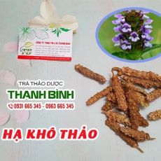 Hạ khô thảo [Hình ảnh, công dụng, cách dùng] Mua ở đâu chất lượng tốt nhất?