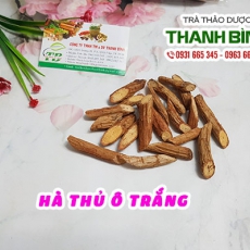 Hà thủ ô trắng [Hình ảnh, công dụng, cách dùng] Mua ở đâu chất lượng tốt nhất?