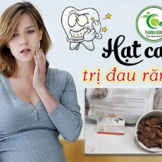 Hạt cau [Hình ảnh, công dụng, cách dùng] Mua ở đâu chất lượng tốt nhất?