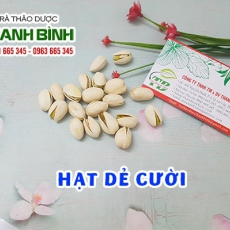 Hạt dẻ cười [Hình ảnh, công dụng, cách dùng] Mua ở đâu chất lượng tốt nhất?