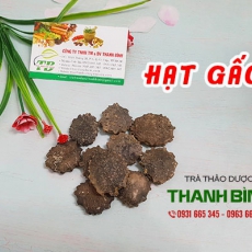 Hạt gấc [Hình ảnh, công dụng, cách dùng] Mua ở đâu chất lượng tốt nhất?