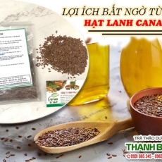 Hạt lanh Canada [Hình ảnh, công dụng, cách dùng] Mua ở đâu chất lượng tốt nhất?