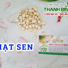 Hạt sen [Hình ảnh, công dụng, cách dùng] Mua ở đâu chất lượng tốt nhất?