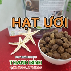 Hạt ươi [Hình ảnh, công dụng, cách dùng] Mua ở đâu chất lượng tốt nhất?