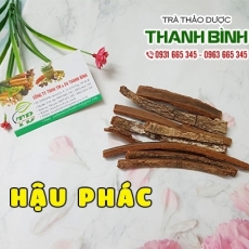 Hậu phác [Hình ảnh, công dụng, cách dùng] Mua ở đâu chất lượng tốt nhất?