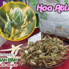 Hoa atiso [Hình ảnh, công dụng, cách dùng] Mua ở đâu chất lượng tốt nhất?