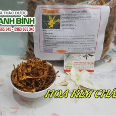 Hoa kim châm [Hình ảnh, công dụng, cách dùng] Mua ở đâu chất lượng tốt nhất?