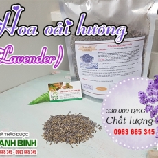 Hoa oải hương [Hình ảnh, công dụng, cách dùng] Mua ở đâu chất lượng tốt nhất?