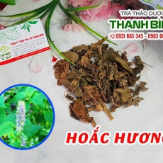 Hoắc hương [Hình ảnh, công dụng, cách dùng] Mua ở đâu chất lượng tốt nhất?
