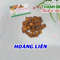 Hoàng liên [Hình ảnh, công dụng, cách dùng] Mua ở đâu chất lượng tốt nhất?