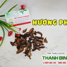 Hương phụ [Hình ảnh, công dụng, cách dùng] Mua ở đâu chất lượng tốt nhất?