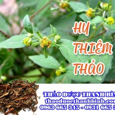 Hy Thiêm Thảo