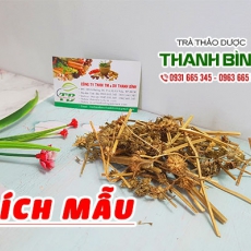 Ích mẫu [Hình ảnh, công dụng, cách dùng] Mua ở đâu chất lượng tốt nhất?