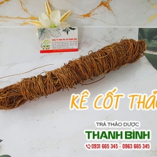 Kê cốt thảo [Hình ảnh, công dụng, cách dùng] Mua ở đâu chất lượng tốt nhất?
