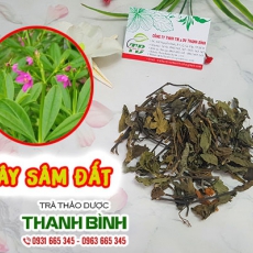 Sâm đất [Hình ảnh, công dụng, cách dùng] Mua ở đâu chất lượng tốt nhất?