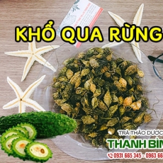 Khổ qua rừng [Hình ảnh, công dụng, cách dùng] Mua ở đâu chất lượng tốt nhất?