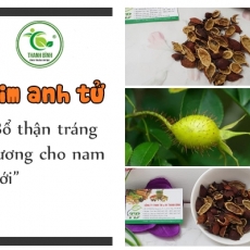 Kim anh tử [Hình ảnh, công dụng, cách dùng] Mua ở đâu chất lượng tốt nhất?