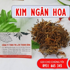 Kim ngân hoa [Hình ảnh, công dụng, cách dùng] Mua ở đâu chất lượng tốt nhất?