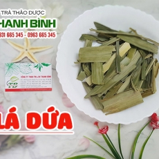 Lá dứa [Hình ảnh, công dụng, cách dùng] Mua ở đâu chất lượng tốt nhất?