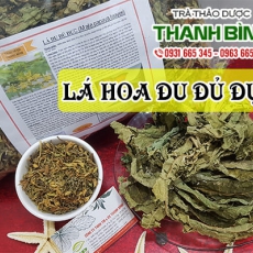 Lá đu đủ đực [Hình ảnh, công dụng, cách dùng] Mua ở đâu chất lượng tốt nhất?