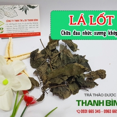 Lá lốt [Hình ảnh, công dụng, cách dùng] Mua ở đâu chất lượng tốt nhất?