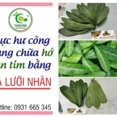 Lá lưỡi nhân [Hình ảnh, công dụng, cách dùng] Mua ở đâu chất lượng tốt nhất???