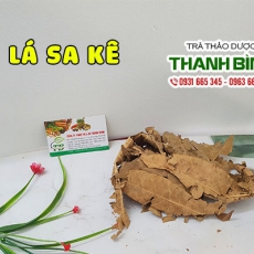 Lá sa kê [Hình ảnh, công dụng, cách dùng] Mua ở đâu chất lượng tốt nhất?