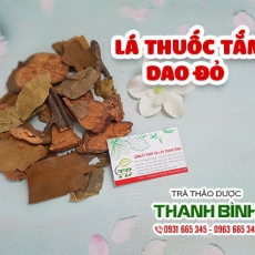 Lá thuốc tắm dao đỏ [Hình ảnh, công dụng, cách dùng] Mua ở đâu chất lượng tốt nhất?