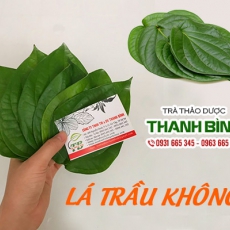 Lá trầu không [Hình ảnh, công dụng, cách dùng] Mua ở đâu chất lượng tốt nhất?