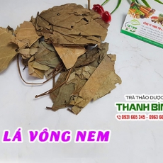 Lá vông nem [Hình ảnh, công dụng, cách dùng] Mua ở đâu chất lượng tốt nhất?