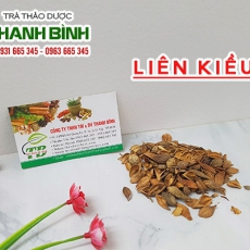 Liên kiều [Hình ảnh, công dụng, cách dùng] Mua ở đâu chất lượng tốt nhất?