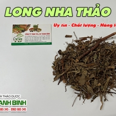 Long nha thảo [Hình ảnh, công dụng, cách dùng] Mua ở đâu chất lượng tốt nhất???
