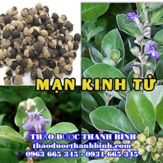 Mạn Kinh Tử