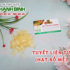 Tuyết liên tử (hạt bồ mễ) [Hình ảnh, công dụng, cách dùng] Mua ở đâu chất lượng tốt nhất?