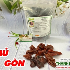 Mủ gòn [Hình ảnh, công dụng, cách dùng] Mua ở đâu chất lượng tốt nhất???