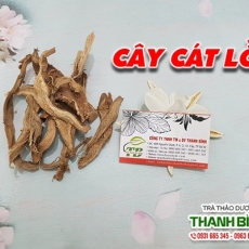 Mua bá cây cát lồi ở quận Tân Bình chữa bệnh viêm tai hiệu quả nhất