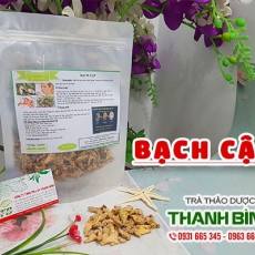 Mua bán bạch cập tại quận 12 cải thiện chứng ho suyễn nhiều đờm