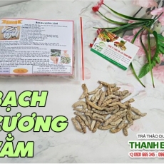 Mua bán bạch cương tằm tại TP.HCM uy tín chất lượng tốt nhất