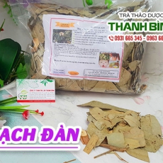 Mua bán bạch đàn tại quận 12 có tác dụng lưu thông máu rất hiệu quả
