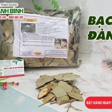 Mua bán bạch đàn tại TP.HCM uy tín chất lượng tốt nhất