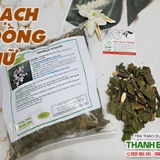 Mua bán bạch đồng nữ (mò hoa trắng) tại TP.HCM uy tín chất lượng tốt nhất