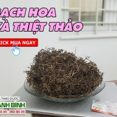 Mua bán bạch hoa xà thiệt thảo ở huyện Củ Chi hỗ trợ trị rắn cắn hiệu quả nhất