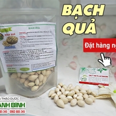 Mua bán bạch quả tại TP.HCM uy tín chất lượng tốt nhất