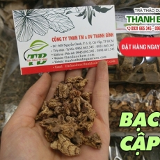 Mua bán bạch cập tại TP.HCM uy tín chất lượng tốt nhất